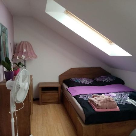 Podkrovni Apartman Tereza Apartment Rumburk Luaran gambar