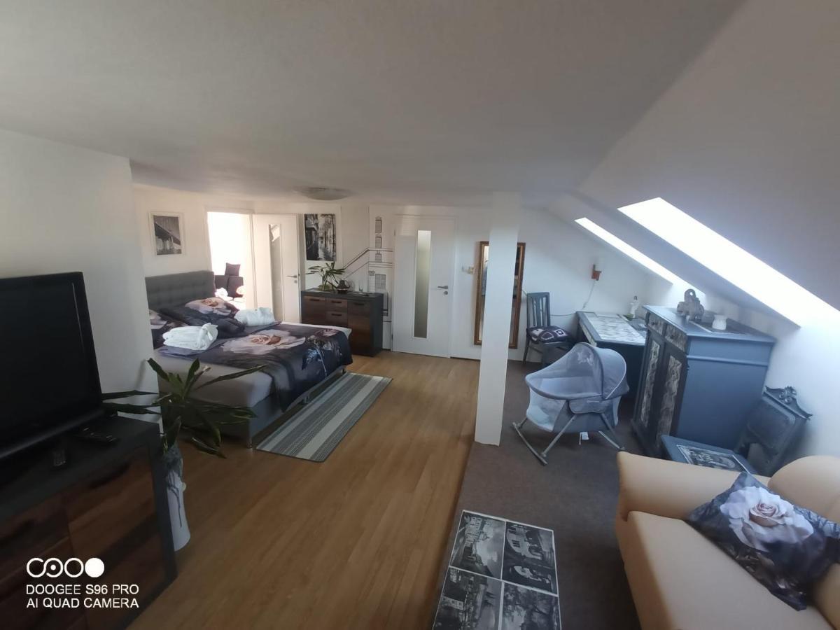 Podkrovni Apartman Tereza Apartment Rumburk Luaran gambar