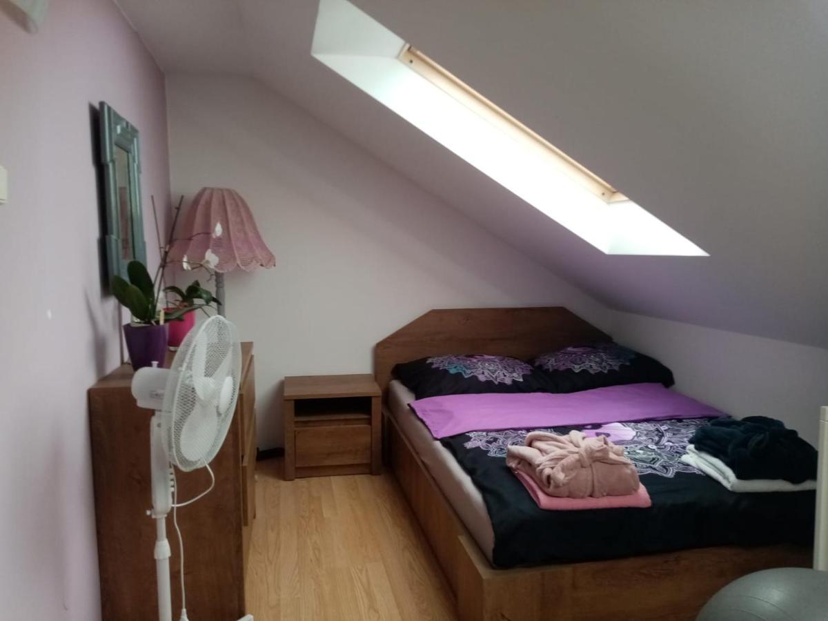 Podkrovni Apartman Tereza Apartment Rumburk Luaran gambar