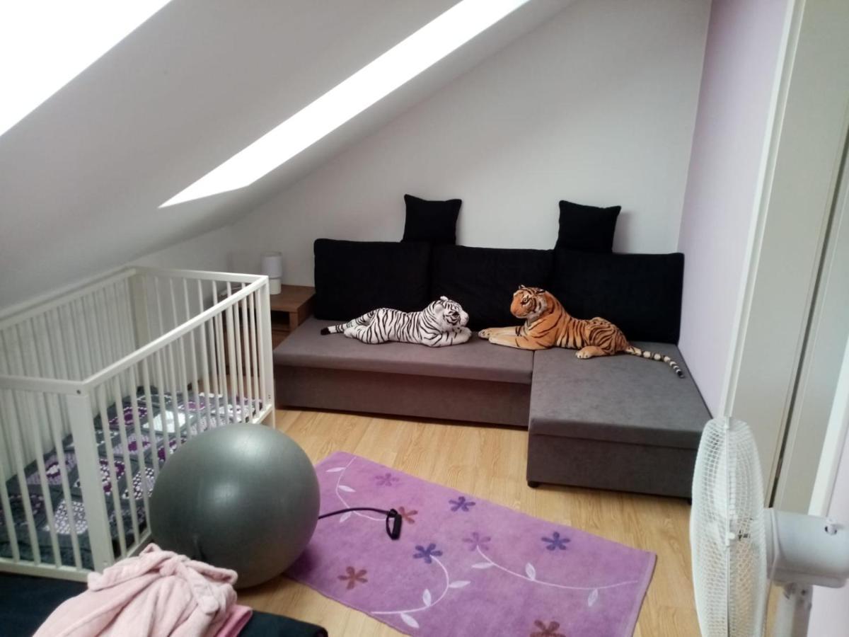 Podkrovni Apartman Tereza Apartment Rumburk Luaran gambar