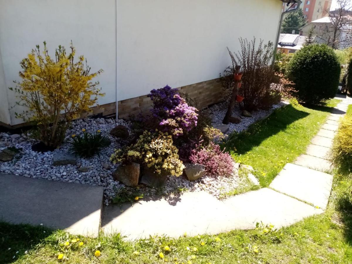 Podkrovni Apartman Tereza Apartment Rumburk Luaran gambar